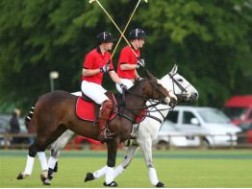 45. Polo in the Cotswolds